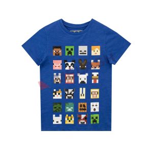 Minecraft Boys Short Sleeve T-shirt