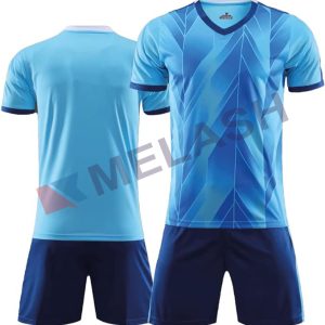 Custom Sewing Football Jersey for Men/Women/Youth,Personalized Stitched Team Name